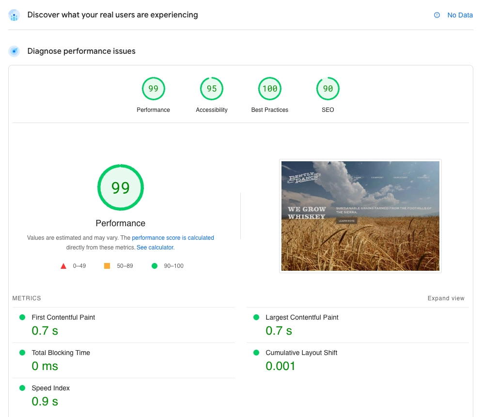 Google PageSpeed insights for the ranch site; both mobile and desktop versions reflecy similar scores